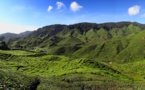 Malaisie : les plantations de thé, souvenir d’un empire disparu