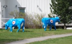 Mais qu'est ce que la CowParade ?